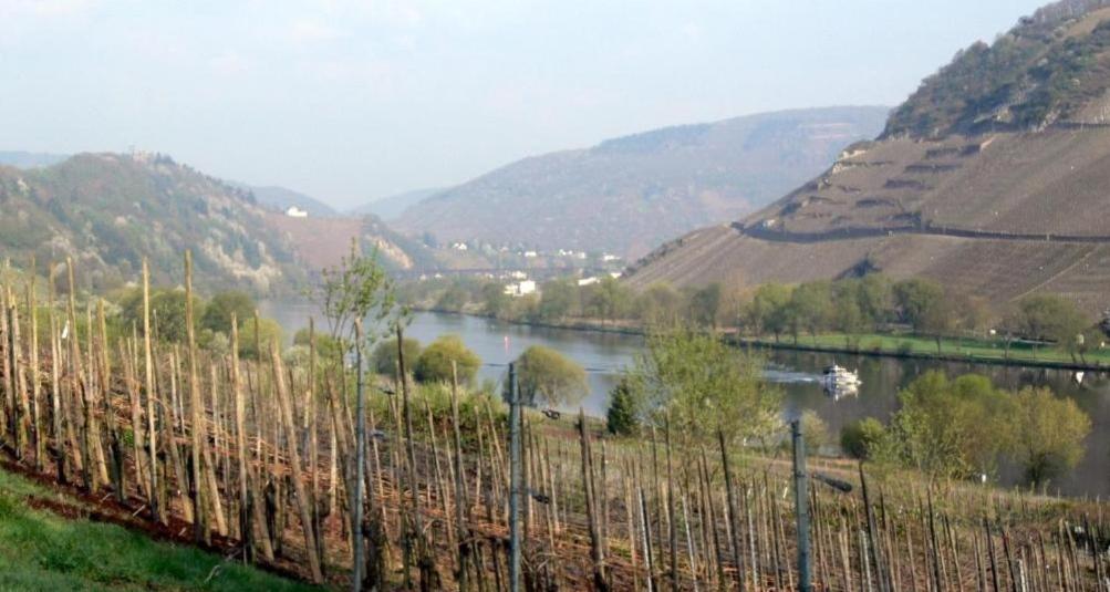 Panorama-Cafe Moselgarten Alf Kültér fotó