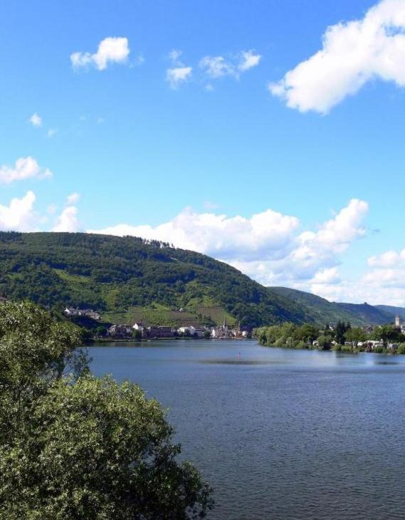 Panorama-Cafe Moselgarten Alf Kültér fotó