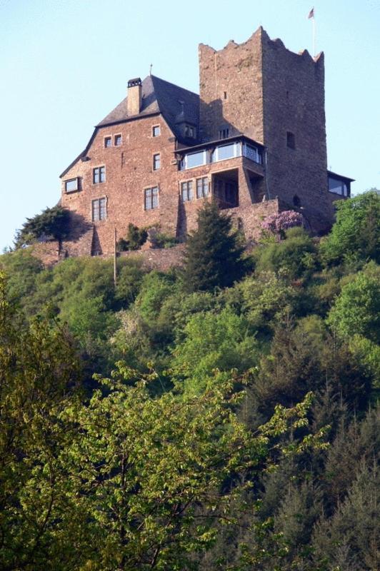 Panorama-Cafe Moselgarten Alf Kültér fotó